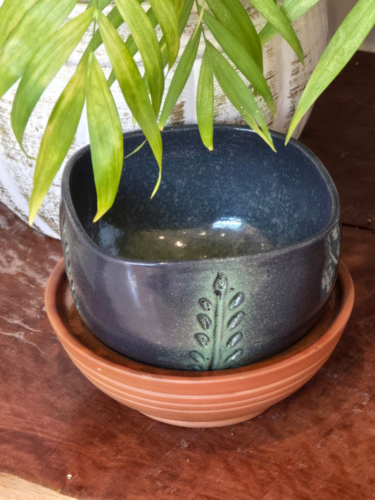 Plant Dish